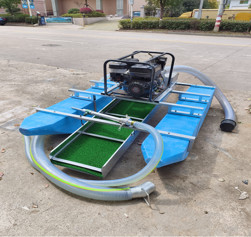 Cychod Carthu Aur Seiffon/Seiffon